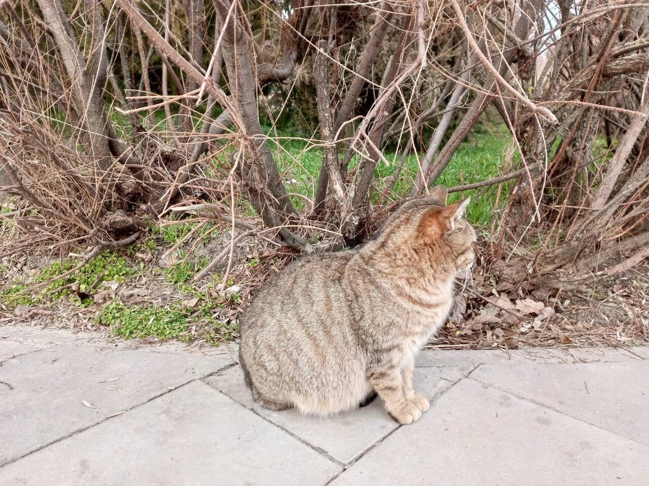 Смартфон с большой автономностью Infinix HOT 11 3