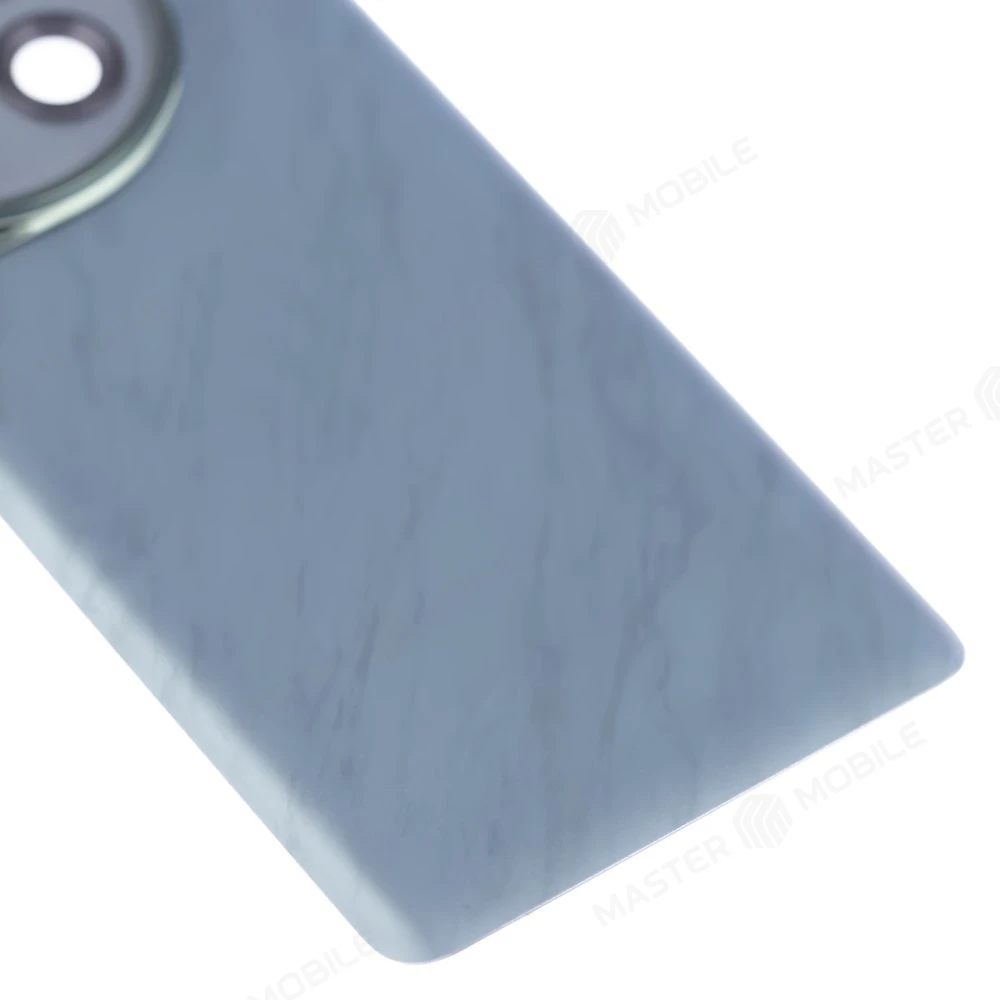 Задняя крышка для OnePlus 12 (PJD110) (зеленый) (в сборе со стеклом камеры) фото №4