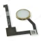 Кнопка (механизм) Home для Apple iPad Air 2 (A1566/A1567) / iPad mini 4 (A1538/A1550) (в сборе) (золотистый) фото №1