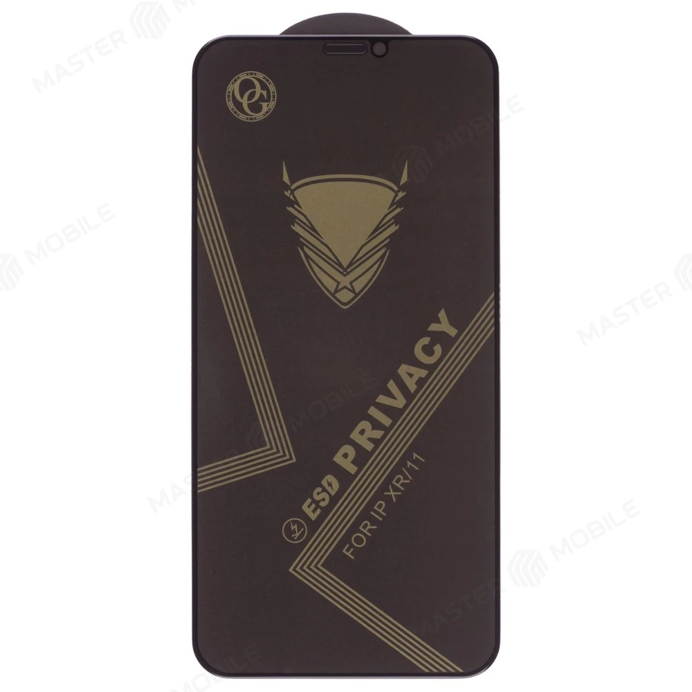 Защитное стекло 3D для Apple iPhone Xr / iPhone 11 (антишпион) (черный) 