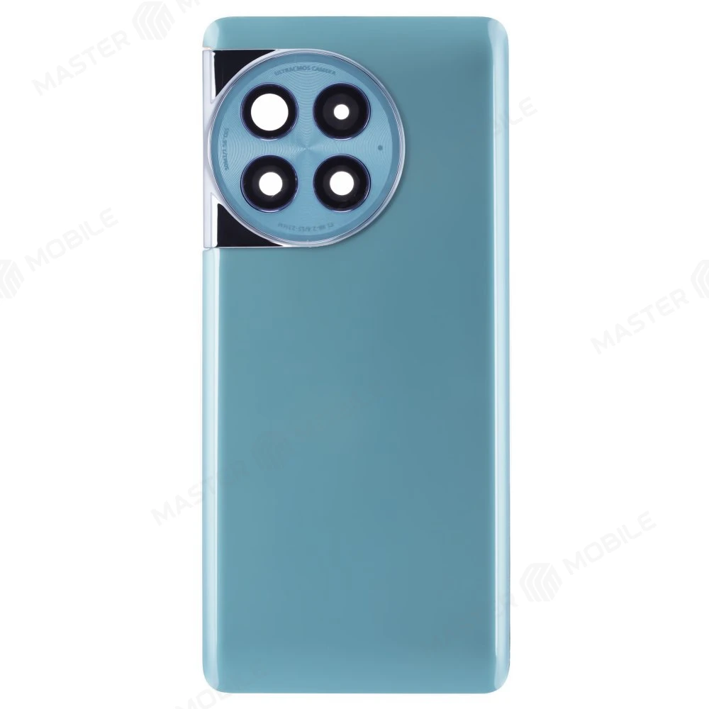 Задняя крышка для OnePlus Ace 2 Pro (PJA110) (зеленый) (в сборе со стеклом камеры) фото №1